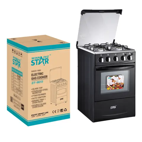 Gas cooker and Oven (Winning Star)