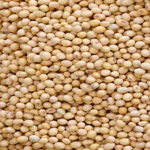 One Ton of Soyabeans