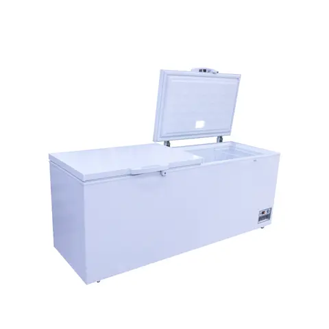 498Ltrs Chest Freezer (Double Door)